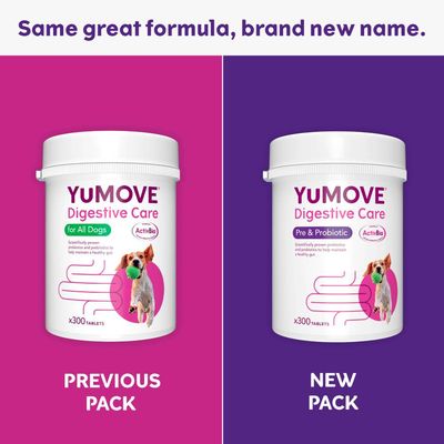 Comparison of previous and new YuMOVE Digestive Care pack designs, showing name change from 'for All Dogs' to 'Pre & Probiotic'. Both packs contain 300 tablets.