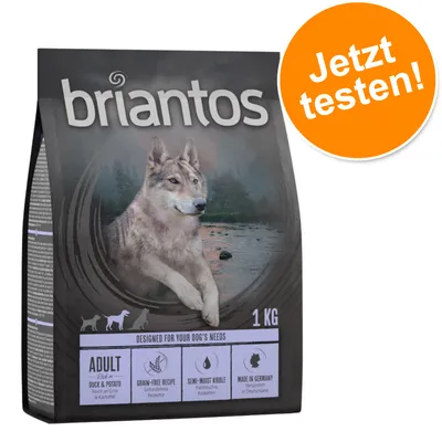 Briantos Adult Duck & Potato, 1 kg. Getreidefreie Rezeptur, halbfeuchte Kroketten, hergestellt in Deutschland. Jetzt testen!