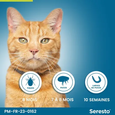 Seresto. Tiques 8 mois, puces 7 à 8 mois, larves de puces 10 semaines. PM-FR-23-0162.