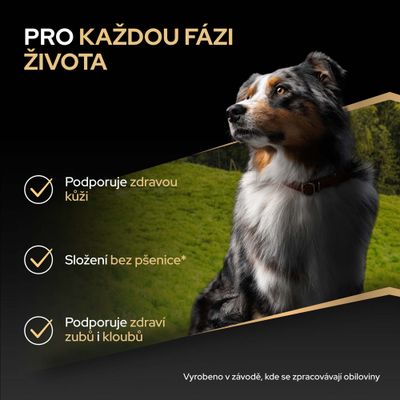 Podporuje zdravú pokožku, zloženie bez pšenice, podporuje zdravie zubov a kĺbov. Vyrobené v závode, ktorý spracováva obilniny.