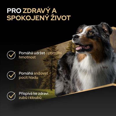 Váha: hmotnost
- optimální: optimální

