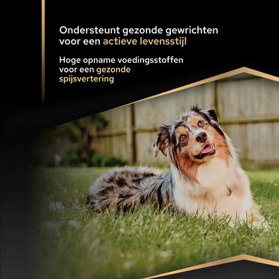 Ondersteunt gezonde gewrichten voor een actieve levensstijl. Hoge opname van voedingsstoffen voor een gezonde spijsvertering.