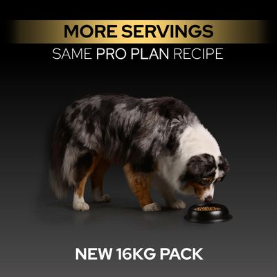 Fler portioner, samma Pro Plan-innehåll. Ny 16,kg-förpackning.