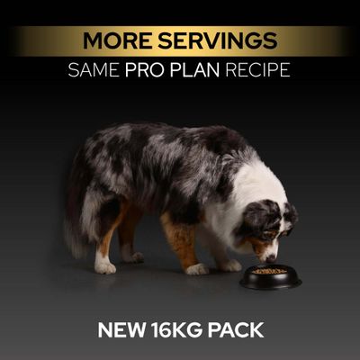 Több adag, ugyanaz a Pro Plan receptúra. Új, 16 kg-os csomagolás.