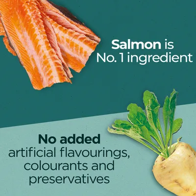 Salmon is No.1 ingredient. No added artificial flavourings, colourants and preservatives. Text på engelska.