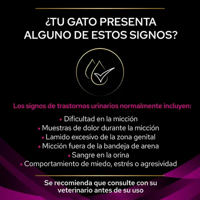 ¿Tu gato presenta alguno de estos signos? Los signos de trastornos urinarios incluyen: dificultad en la micción, dolor, lamido excesivo, micción fuera de la bandeja, sangre, miedo o agresividad.