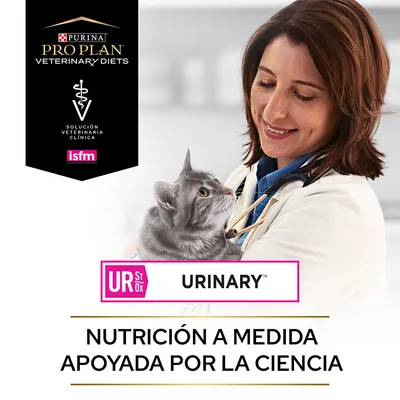 Purina Pro Plan Veterinary Diets, solución veterinaria clínica isfm, UR St/Ox Urinary. Nutrición a medida apoyada por la ciencia. Gato gris en brazos de persona con bata blanca.