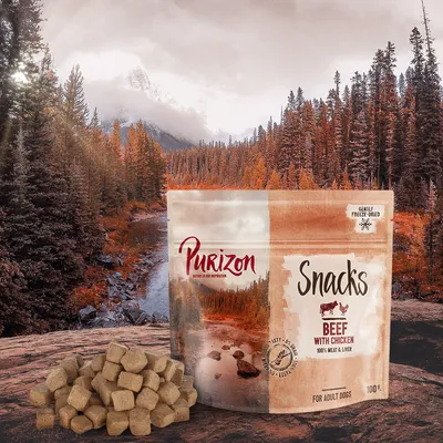 Purizon Snacks Beef with Chicken, 100% meat & liver, gently freeze-dried, for adult dogs, 100g pouch shown with cube-shaped treats in front. Visible text: Nature is our inspiration.