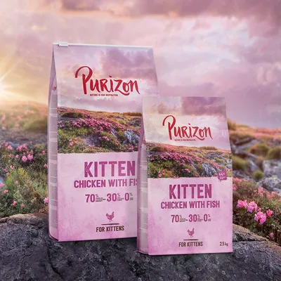 Purizon Kitten száraz macskaeledel, csirke hallal, 70% hús és hal, 30% zöldség, 0% gabona. Kölyökmacskáknak. Csomagméretek: 2,5 kg és kisebb csomag látható. Purizon Kitten száraz macskaeledel, csirke hallal, 70% hús és hal, 30% zöldség, 0% gabona. Kölyökmacskáknak. Csomagméretek: 2,5 kg és kisebb csomag látható.