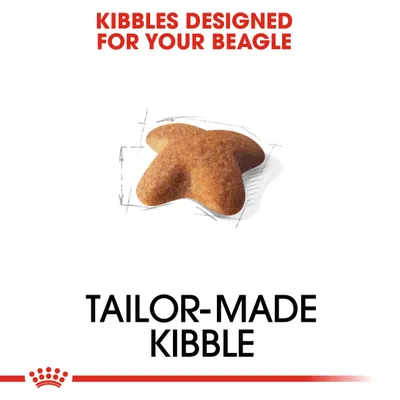 KIBBLES DESIGNED FOR YOUR BEAGLE, TAILOR-MADE KIBBLE (κείμενο στα αγγλικά) και εικόνα κροκέτας σε σχήμα αστεριού.