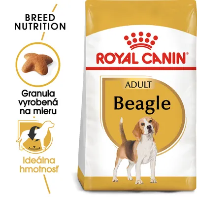Royal Canin ADULT Beagle, granula vyrobená na mieru, ideálna hmotnosť. Balenie s obrázkom beagla a tvarom granuly. Text v angličtine: BREED NUTRITION. Royal Canin ADULT Beagle, granula vyrobená na mieru, ideálna hmotnosť. Balenie s obrázkom beagla a tvarom granuly. Text v angličtine: BREED NUTRITION.