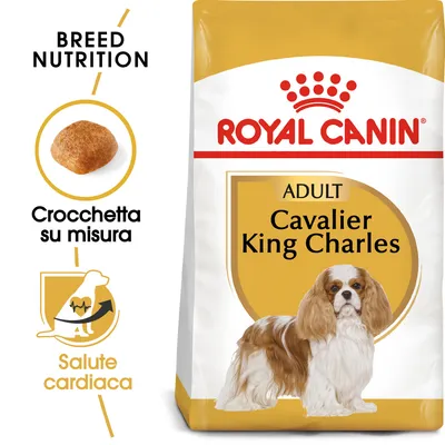 Confezione Royal Canin Adult Cavalier King Charles, crocchetta su misura, testo salute cardiaca, immagine di cane Cavalier King Charles e crocchetta visibile. Confezione Royal Canin Adult Cavalier King Charles, crocchetta su misura, testo salute cardiaca, immagine di cane Cavalier King Charles e crocchetta visibile.