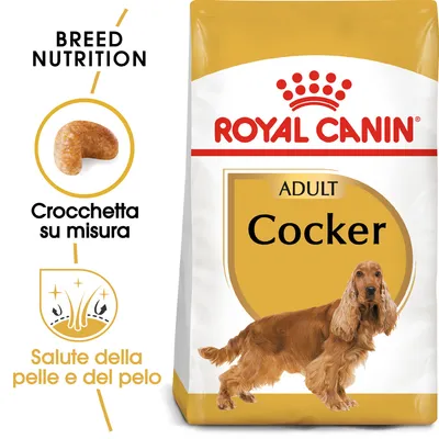 Royal Canin Adult Cocker, crocchetta su misura, salute della pelle e del pelo. Immagine di confezione con cane cocker spaniel e dettagli sulle caratteristiche visibili.