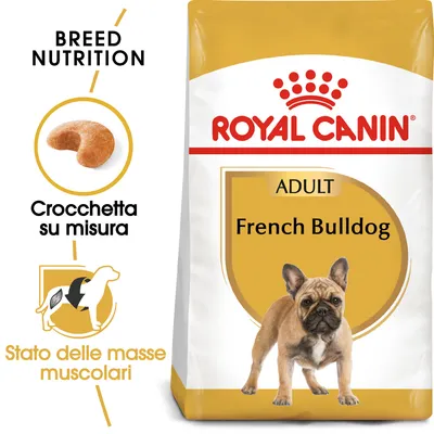 Confezione Royal Canin Adult French Bulldog, crocchetta su misura, stato delle masse muscolari, testo visibile: BREED NUTRITION, Crocchetta su misura, Stato delle masse muscolari.