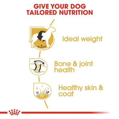 Royal Canin Labrador Retriever Adult - 12 kg