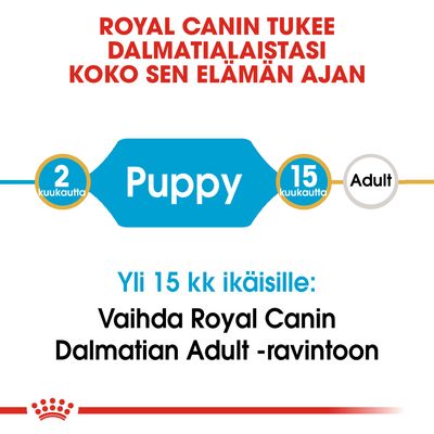 ROYAL CANIN tukee dalmatialaistasi koko sen elämän ajan. 2 kuukautta Puppy, 15 kuukautta Adult. Yli 15 kk ikäisille: Vaihda Royal Canin Dalmatian Adult -ravintoon.