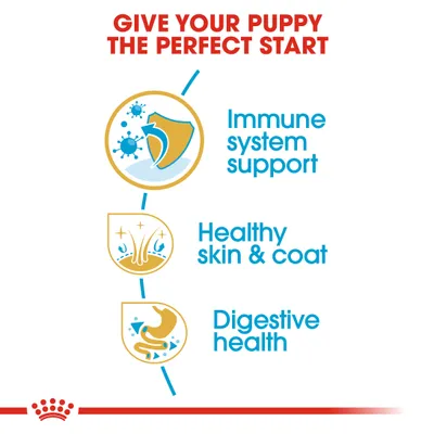 Teksti englanniksi: Give your puppy the perfect start. Immune system support, healthy skin & coat, digestive health. Kolme kuvaketta kilvestä, karvasta ja vatsasta.