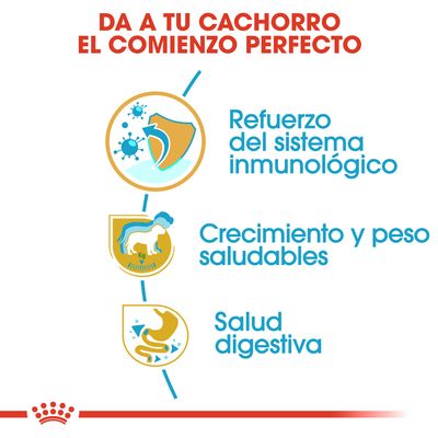 Da a tu cachorro el comienzo perfecto: refuerzo del sistema inmunológico, crecimiento y peso saludables, salud digestiva. Texto en español con iconos explicativos.