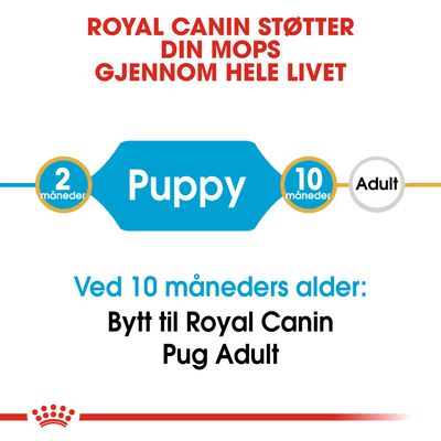 Royal Canin Pug Puppy