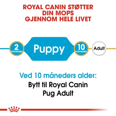 Royal Canin Pug Puppy