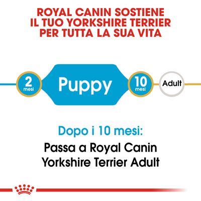 Royal Canin sostiene il tuo Yorkshire Terrier per tutta la vita. Puppy da 2 a 10 mesi, poi passa a Royal Canin Yorkshire Terrier Adult dopo i 10 mesi.