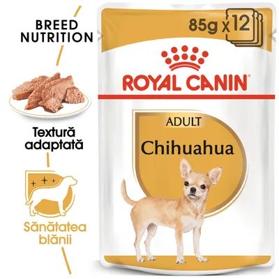 Pachet Royal Canin Adult Chihuahua 85g x12, imagine cu hrană umedă, text: Textură adaptată, Sănătatea blănii, Breed Nutrition, poză câine Chihuahua pe ambalaj.