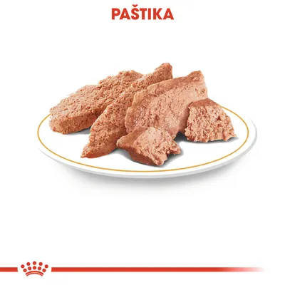 Paštika na bílém talíři, nahoře červený nápis PAŠTIKA.