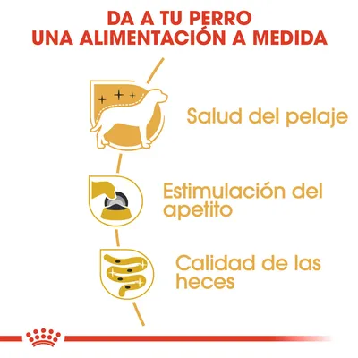 Da a tu perro una alimentación a medida. Salud del pelaje, estimulación del apetito, calidad de las heces.