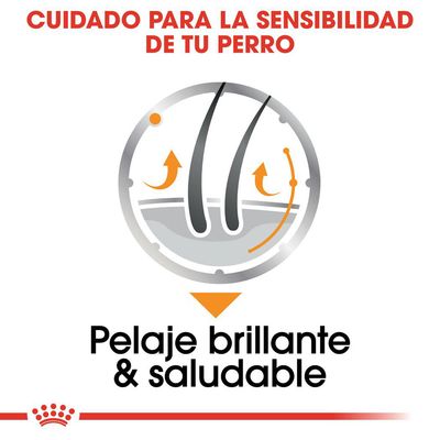 Cuidado para la sensibilidad de tu perro. Pelaje brillante & saludable.
