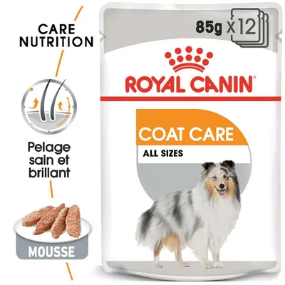 Royal Canin Coat Care All Sizes, 85 g x12, mousse pour chien, texte visible : Care Nutrition, Pelage sain et brillant, image d’un chien à poil long sur l’emballage. Royal Canin Coat Care All Sizes, 85 g x12, mousse pour chien, texte visible : Care Nutrition, Pelage sain et brillant, image d’un chien à poil long sur l’emballage.