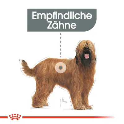 Ilustración de un perro con el texto 'Empfindliche Zähne', referencia a cuidado dental especial o alimento para perros con dientes sensibles.