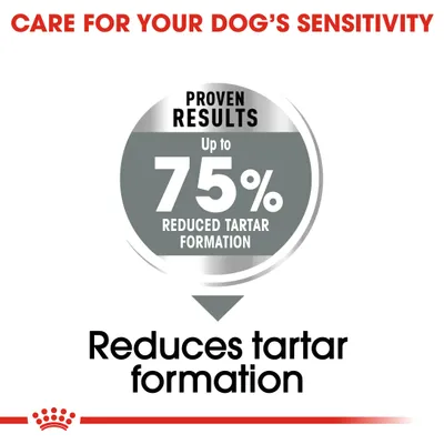 PROVEN RESULTS Up to 75% REDUCED TARTAR FORMATION. Reduces tartar formation. CARE FOR YOUR DOG'S SENSITIVITY. Az összes szöveg angol nyelvű.