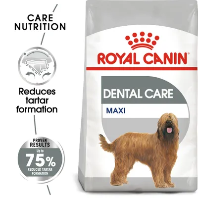ROYAL CANIN DENTAL CARE MAXI dog food pack, text: Care Nutrition, Reduces tartar formation, Proven results up to 75% reduced tartar formation, image of large long-haired dog ROYAL CANIN DENTAL CARE MAXI dog food pack, text: Care Nutrition, Reduces tartar formation, Proven results up to 75% reduced tartar formation, image of large long-haired dog