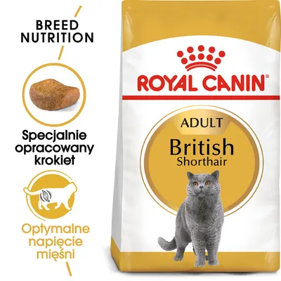 ROYAL CANIN ADULT British Shorthair, specjalnie opracowany krokiet, optymalne napięcie mięśni. Opakowanie karmy z wizerunkiem kota brytyjskiego krótkowłosego. ROYAL CANIN ADULT British Shorthair, specjalnie opracowany krokiet, optymalne napięcie mięśni. Opakowanie karmy z wizerunkiem kota brytyjskiego krótkowłosego.