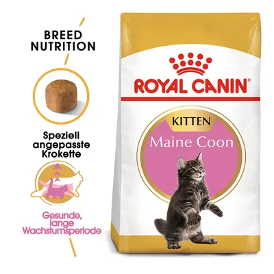 Royal Canin Kitten Maine Coon. Posebno prilagojeni briketi za zdravo, dolgo obdobje rasti. Breed Nutrition.