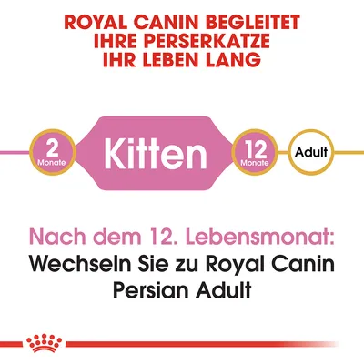 Royal Canin prati vašu perzijsku mačku. Nakon 12. mjeseca pređite na Royal Canin Persian Adult. Prijelaz s hrane za mačiće (2-12 mjeseci) na hranu za odrasle.