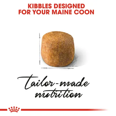 Kibbles designed for Maine Coon, showing a single kibble piece with the text 'tailor-made nutrition'.