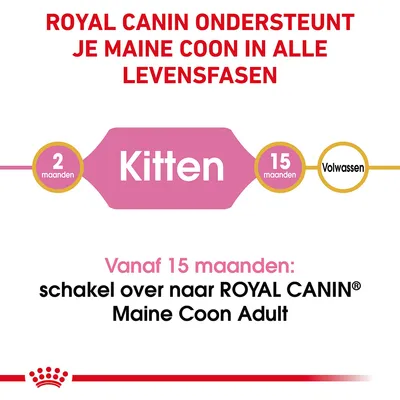 ROYAL CANIN ondersteunt je Maine Coon in alle levensfasen. Kitten: 2–15 maanden. Vanaf 15 maanden: schakel over naar ROYAL CANIN Maine Coon Adult.