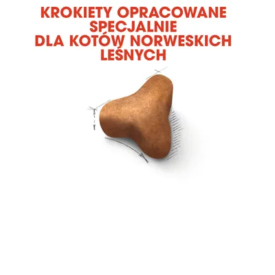 KROKIETY OPRACOWANE SPECJALNIE DLA KOTÓW NORWESKICH LEŚNYCH; widoczny pojedynczy krokiet o trójkątnym kształcie na białym tle z technicznymi szkicami wokół.