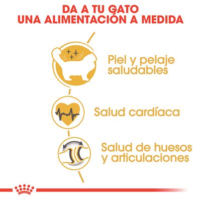 Da a tu gato una alimentación a medida. Piel y pelaje saludables, salud cardíaca, salud de huesos y articulaciones.