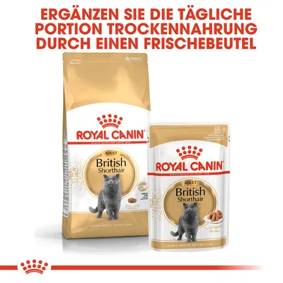Texte en allemand : Ergänzen Sie die tägliche Portion Trockennahrung durch einen Frischebeutel. Sacs Royal Canin Adult British Shorthair, croquettes et sachet 85 g visibles.