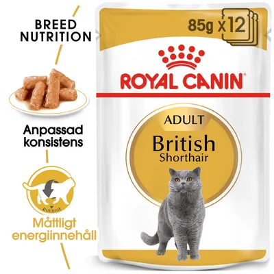 Royal Canin Adult British Shorthair 85 g x12. Anpassad konsistens, måttligt energiinnehåll. Bild på grå katt och foderbitar. Text: Breed Nutrition.