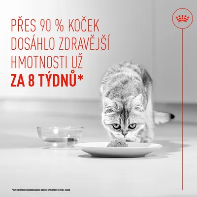 Více než 90 % koček dosáhlo zdravější hmotnosti již za 8 týdnů. Interní studie Royal Canin.