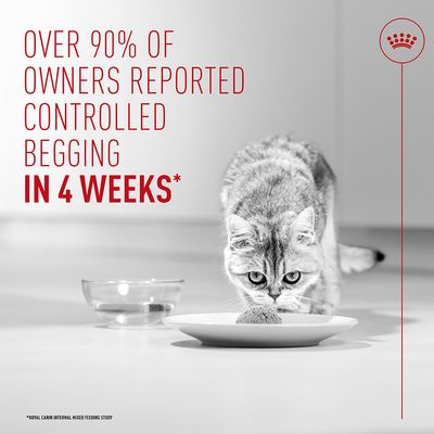 Royal Canin Appetite Control Care AirLift™ Mousse