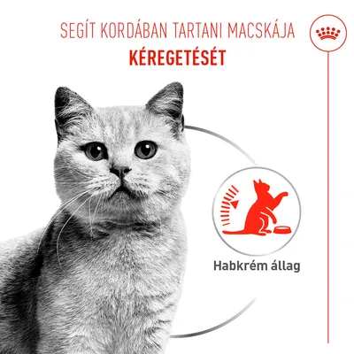 Royal Canin Appetite Control Care AirLift Mousse - 12 x 85 g
