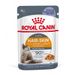 Royal Canin Hair & Skin umido in Gelatina per gatti 12 x 85 g