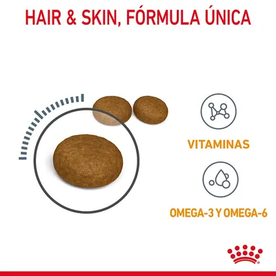 Pienso redondo con texto: HAIR & SKIN, FÓRMULA ÚNICA. Iconos y palabras: VITAMINAS, OMEGA-3 Y OMEGA-6. Logotipo de Royal Canin en la parte inferior.