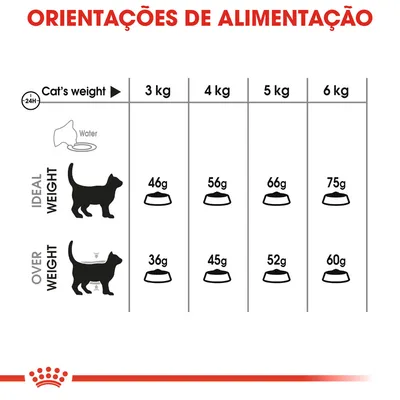 Tabela de orientações de alimentação para gatos: peso 3 kg, ideal 46 g, excesso 36 g; 4 kg, ideal 56 g, excesso 45 g; 5 kg, ideal 66 g, excesso 52 g; 6 kg, ideal 75 g, excesso 60 g.