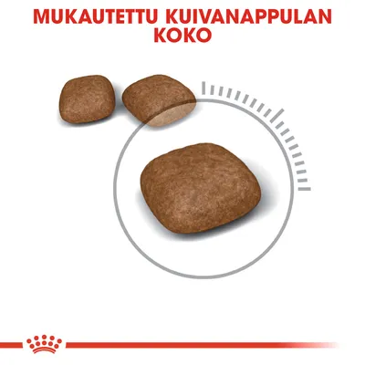 Mukautettu kuivanappulan koko. Kuvassa kolme erikokoista ruskeaa nappulaa ja ympyrä korostamassa suurinta nappulaa.