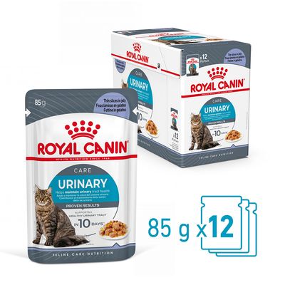 Royal Canin Urinary Care kissan märkäruoka, 12 x 85 g annospussia. Pakkauksessa näkyy kissa ja ruoka-annos hyytelössä. Teksti: Supports a healthy urinary tract in 10 days.